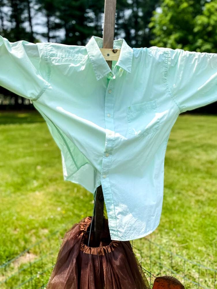 putting a scarecrow today for a garden