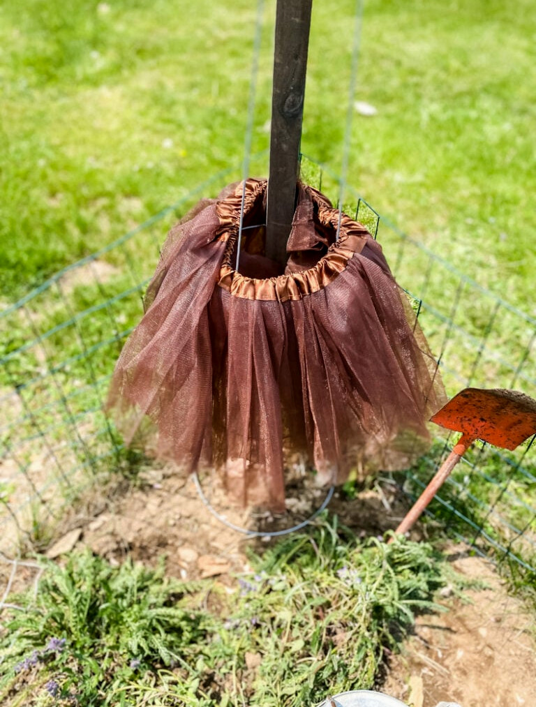 making a scarecrow girl with a tomato cage