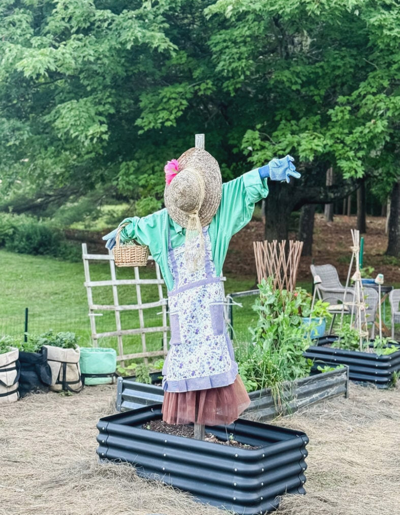 garden with a scarecrow