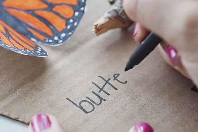 Label Butterfly Life Cycle Stages