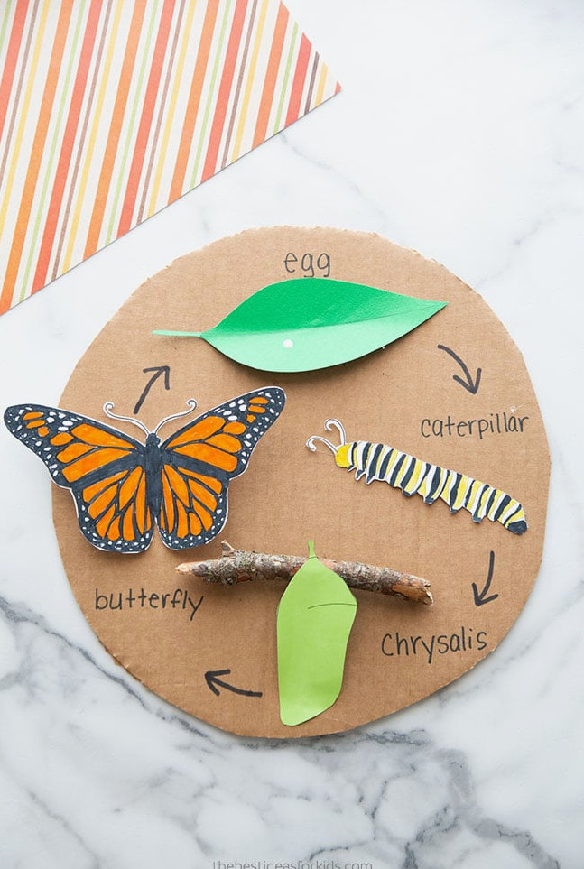 Butterfly Life Cycle Craft for Kids