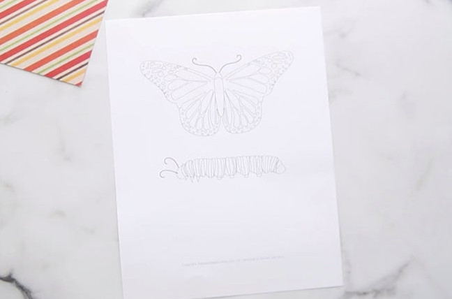 Butterfly Life Cycle Printable