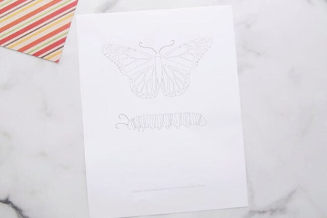 Printable Butterfly Life Cycle Activity