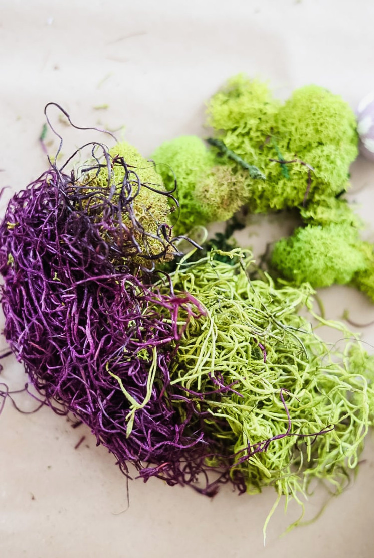 purple and green moss