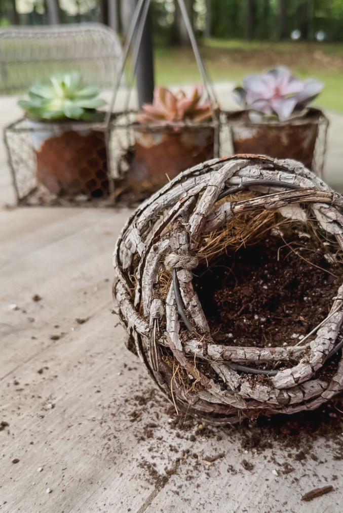 making succulent planters