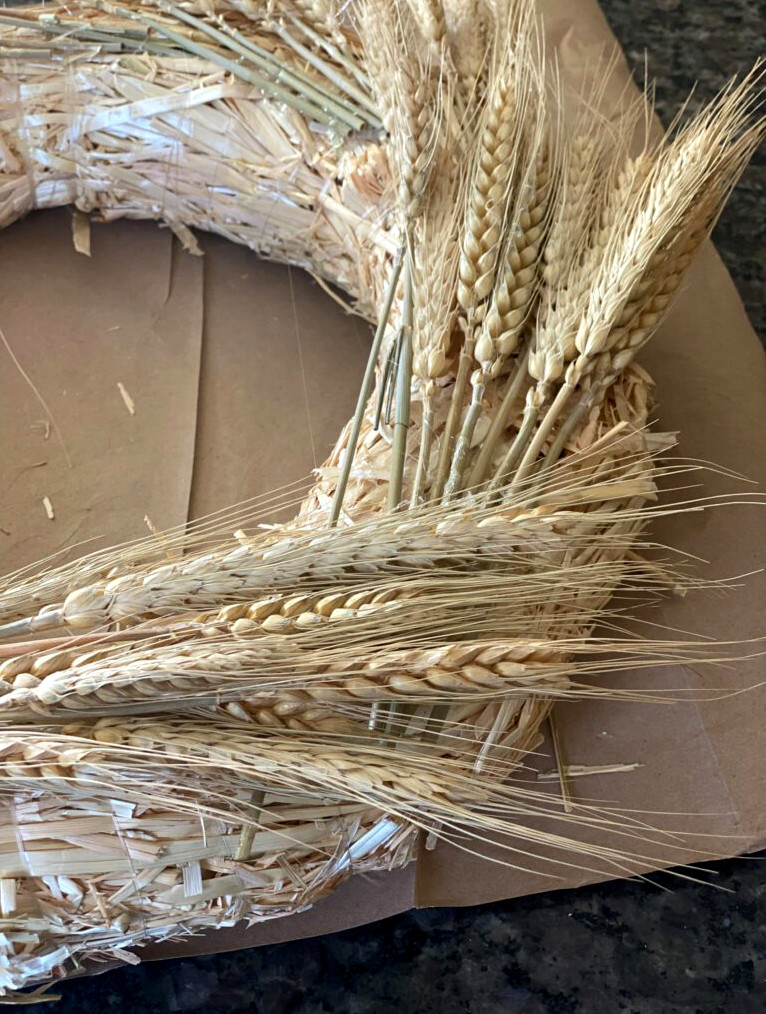 Dried wheat on straw wreath form
