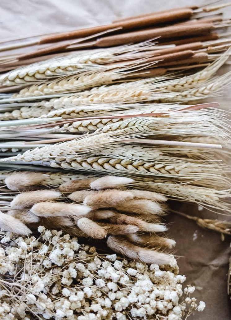 assorted dried flowers