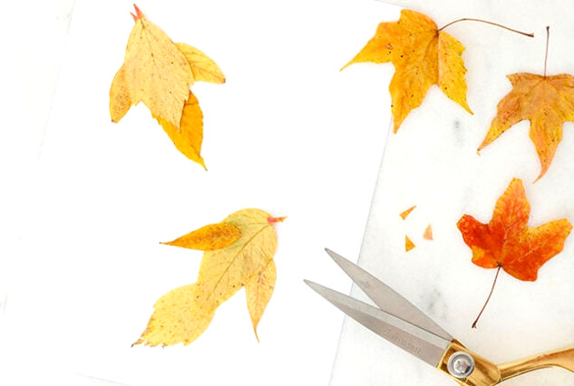 Adding beaks to leafy birds