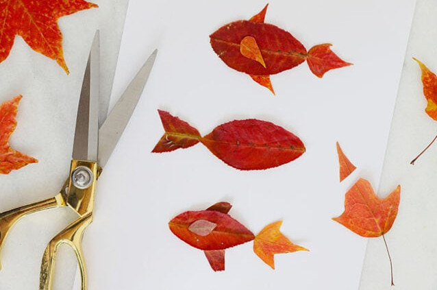 Attaching leaf fins to fish