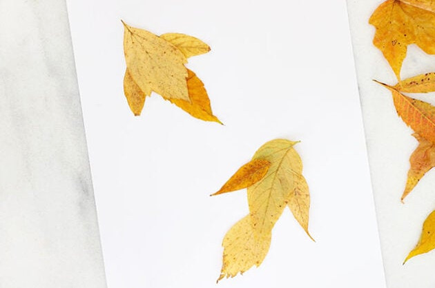 Attaching wings to a leaf bird