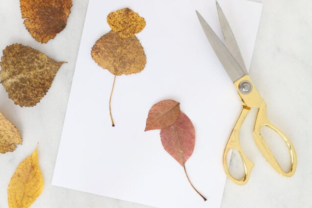 Positioning leaves to make mice