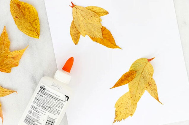 Assembling leaf birds with glue