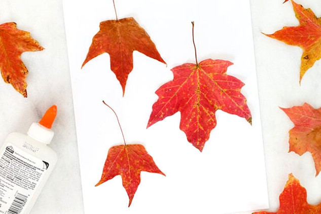 Attaching maple leaves to the page