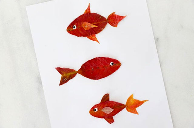 Painting fish eyes