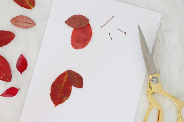 Removing stems from leaves for bunnies