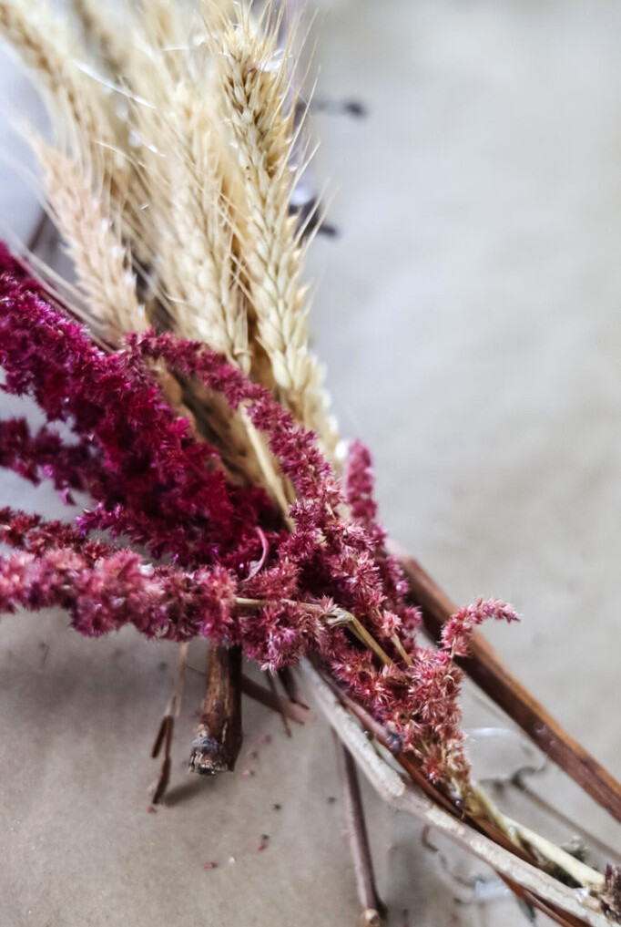 amaranth and dried wheat