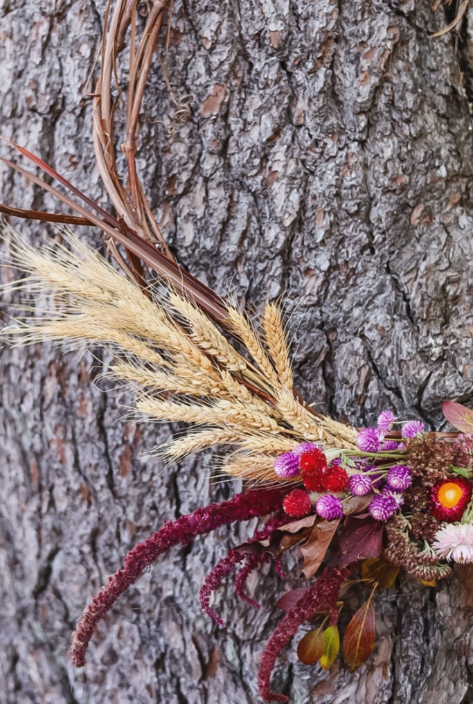 wheat and amaranth on a wreath hanging on a ree