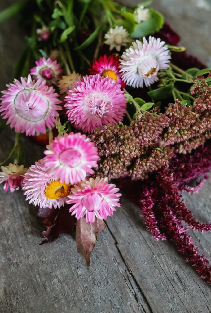 strawflowers, and amaranth