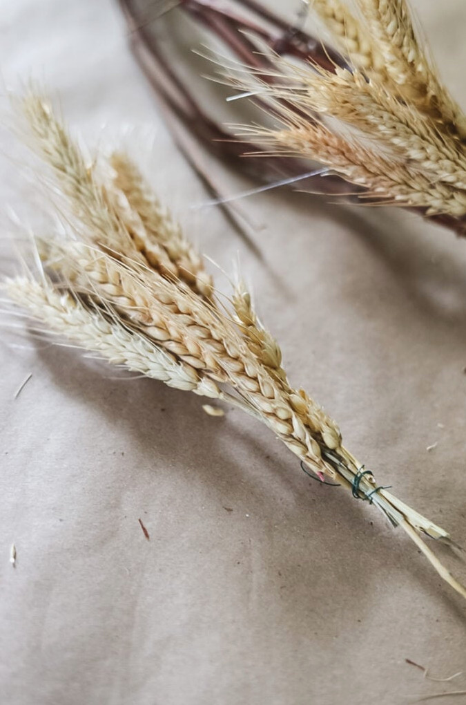 wheat stalks
