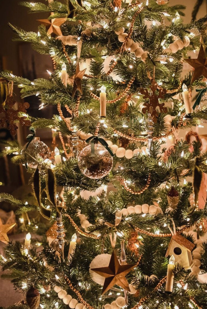 illuminated Christmas tree at night