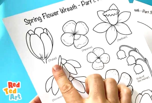 identifying flowers