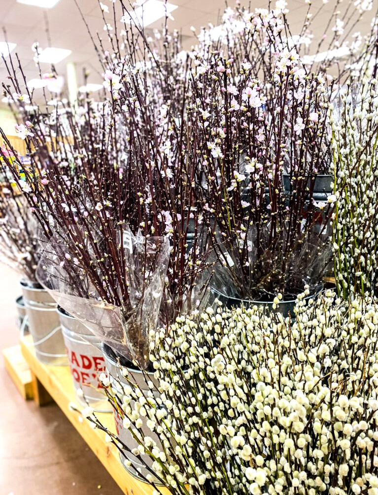 floral branches at trader joe's