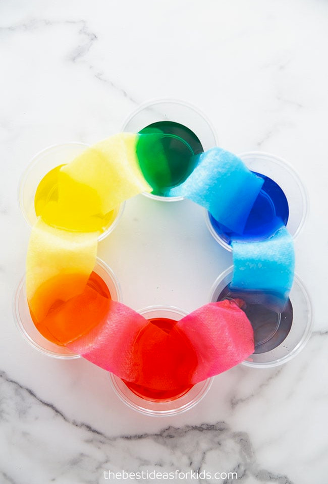 Walking Water Science Experiment