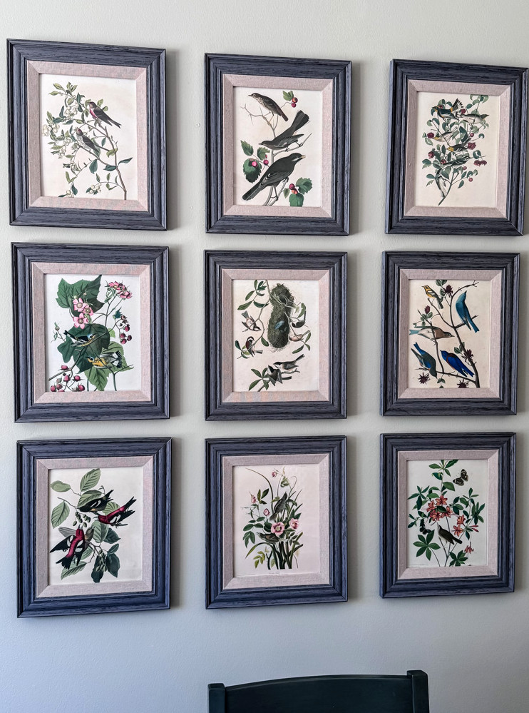 gallery wall with bird prints