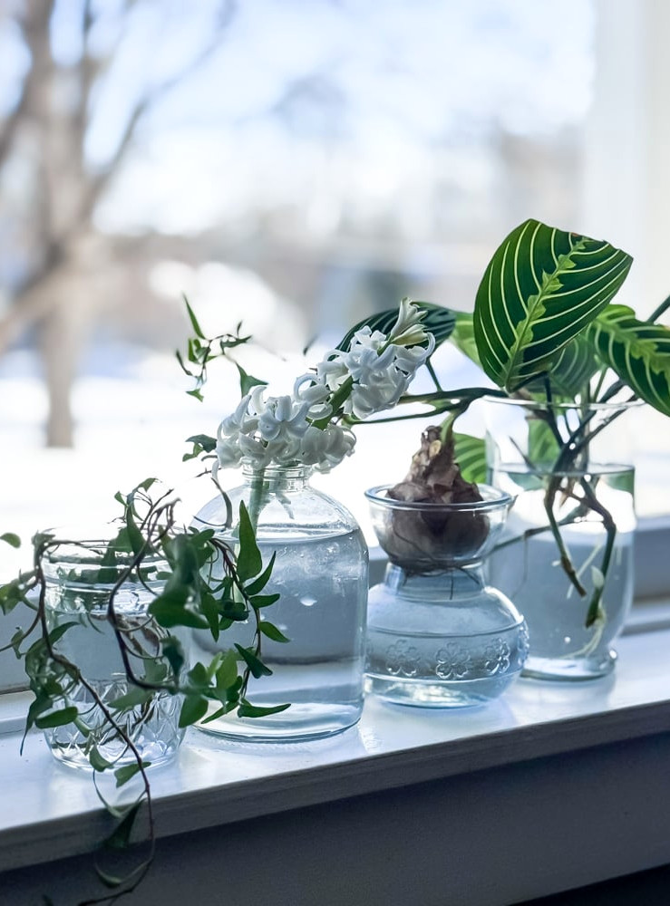 glass vases on windowsill