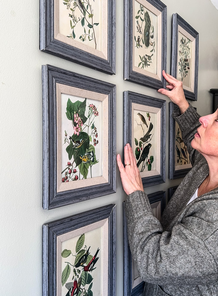 hanging bird prints