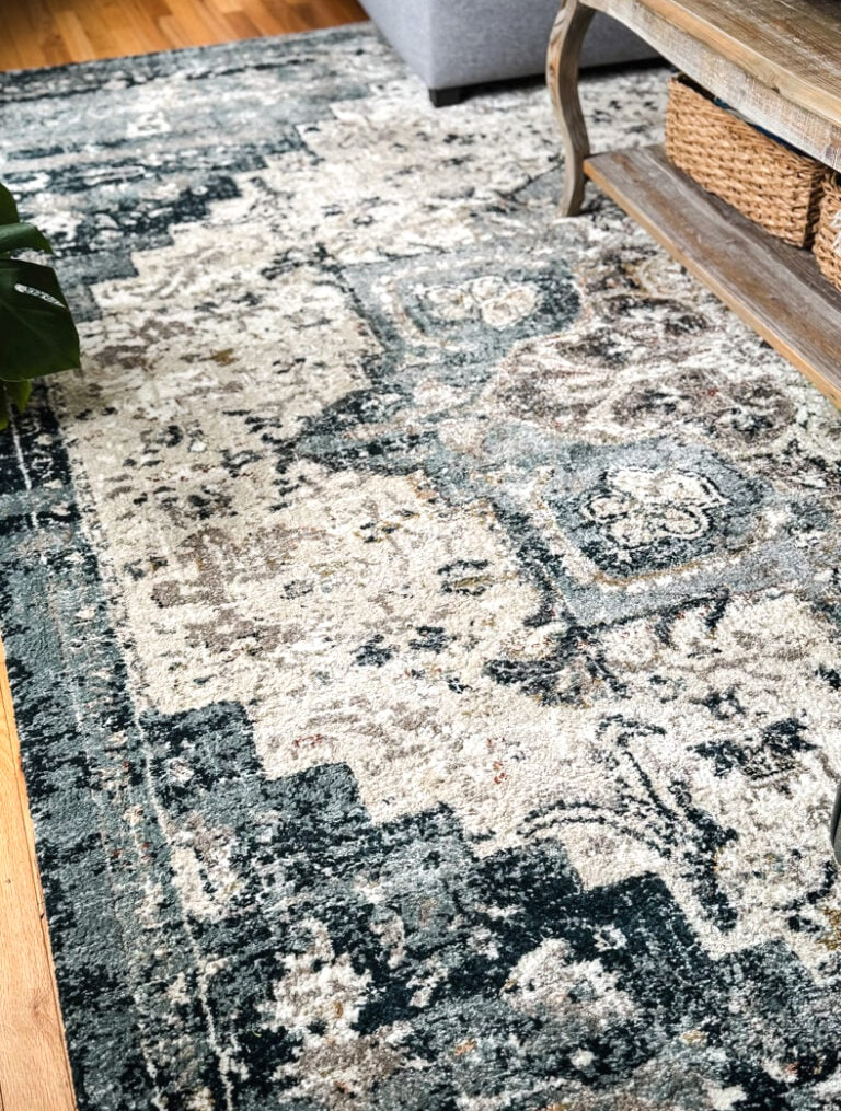 Magnolia James Taupe area carpet in living room