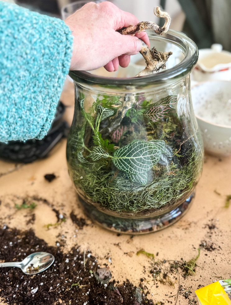 building a terrarium