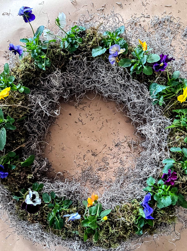 live pansy wreath