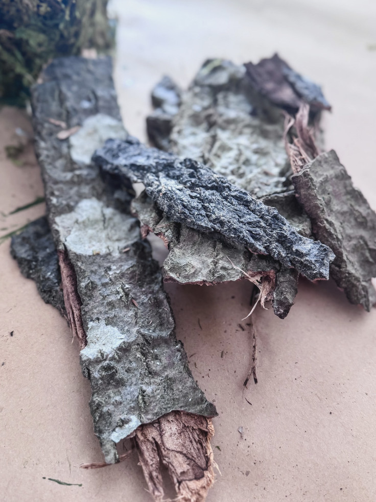 tree bark pile for crafting