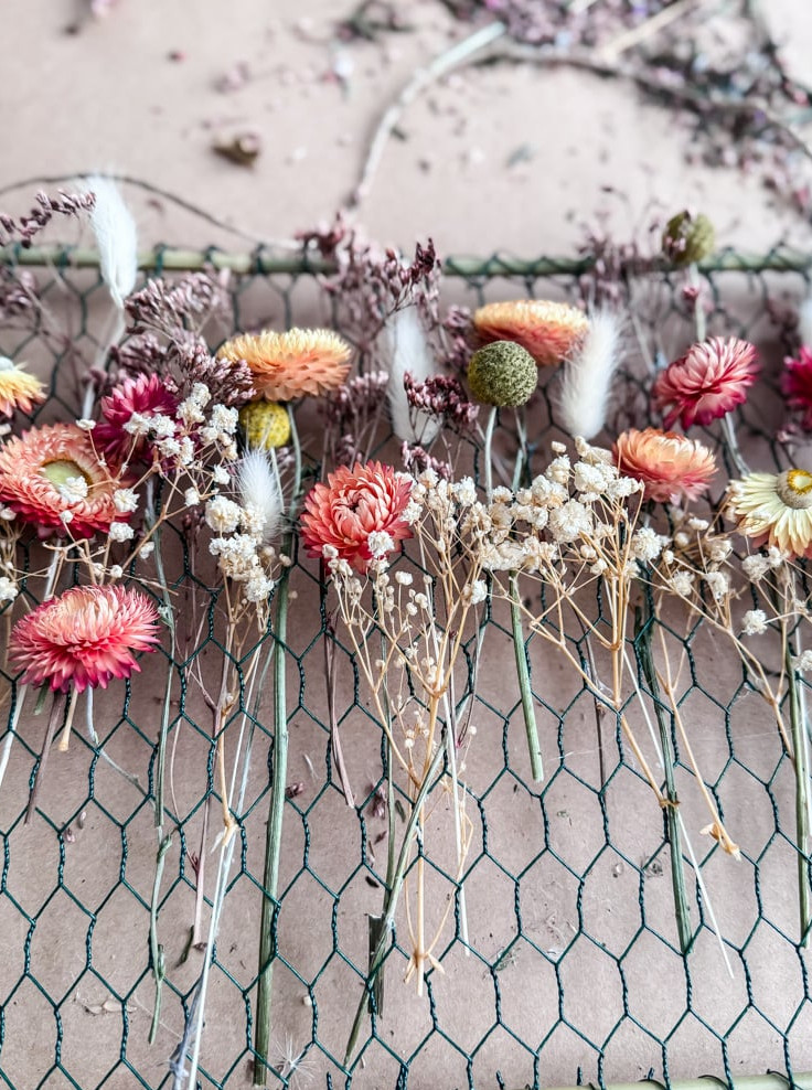 dried blossoms displayed on a chicken wire frame