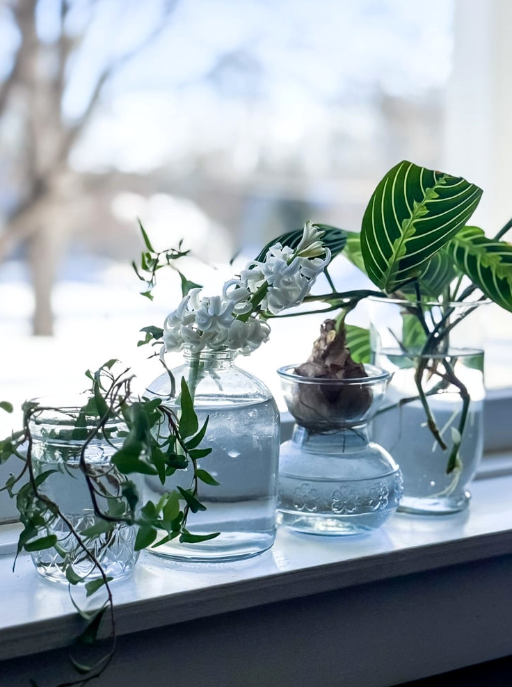 glass vases on windowsill