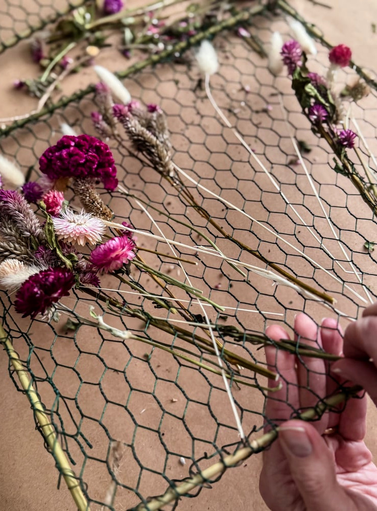 hand holding dried flower