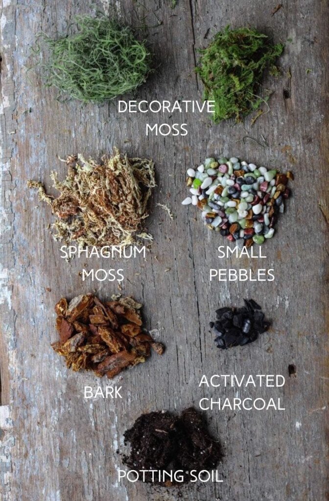 layering materials used for a closed terrarium