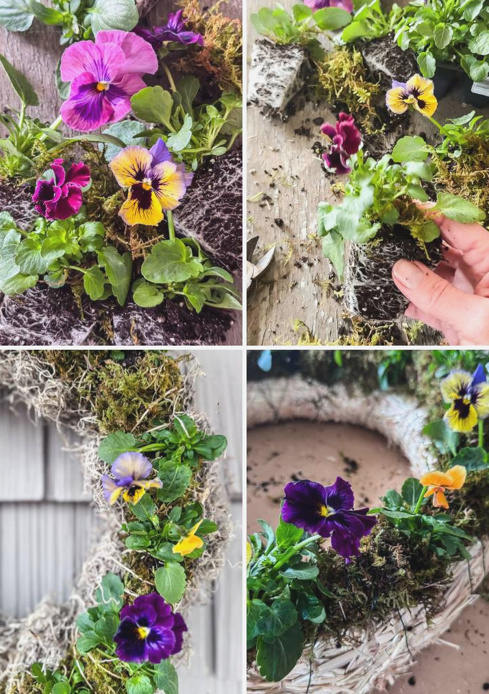 collage featuring pansy wreath images and close-up views of the flowers