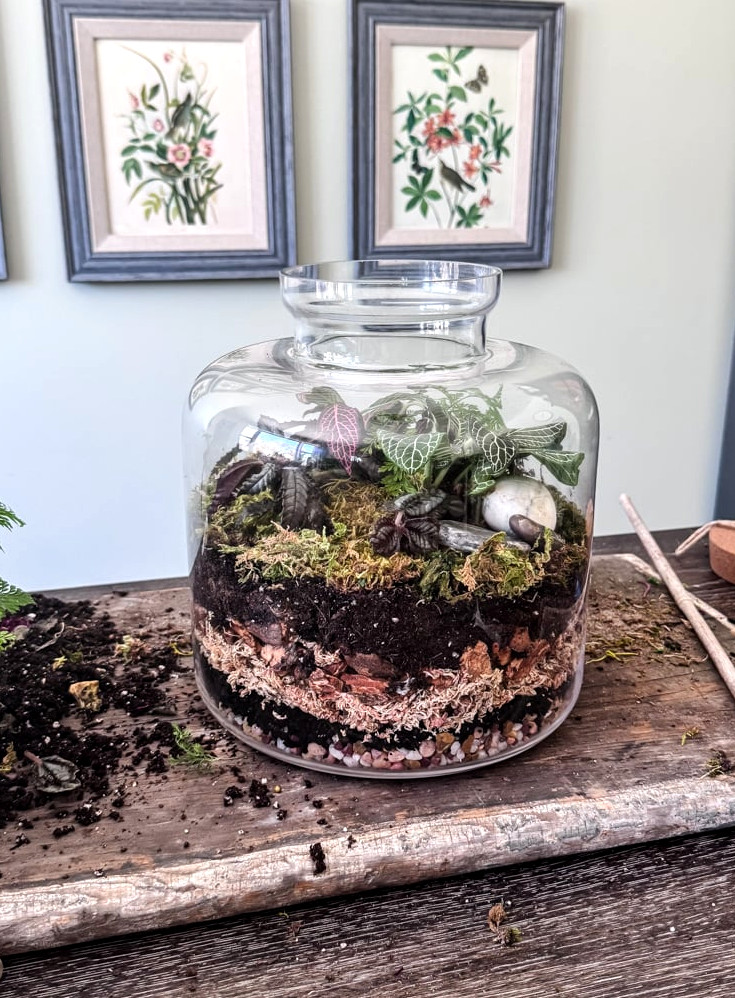 tall glass terrarium on a table.