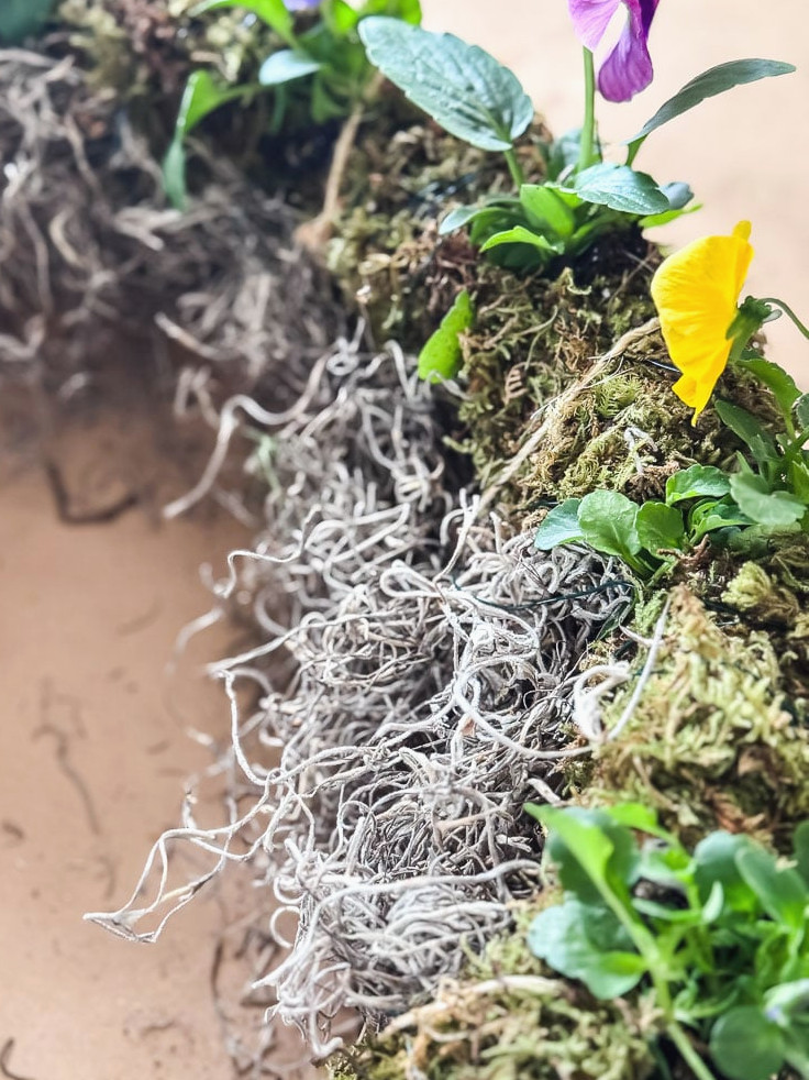 close up of a live pansy wreath