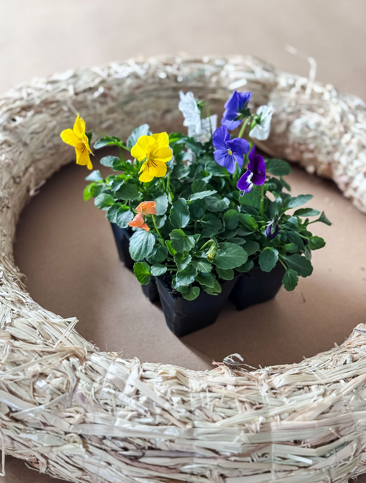straw wreath form and a 6 pack of pansies