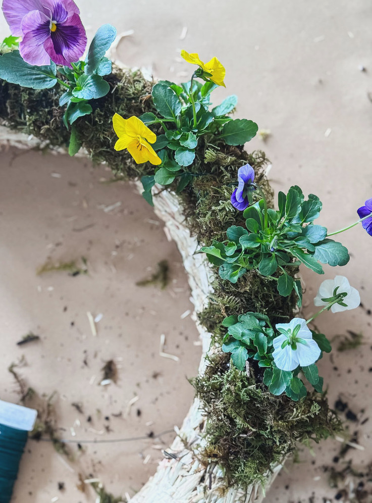 live pansy wreath being made