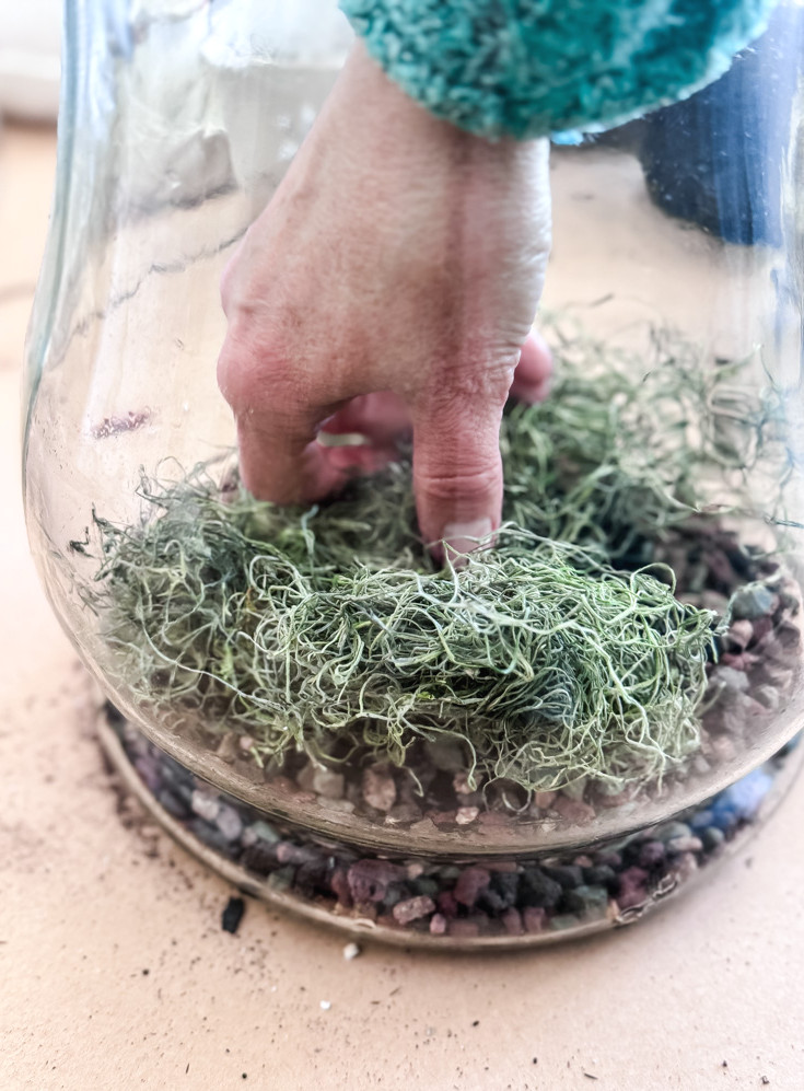 adding moss to a terrarium vase