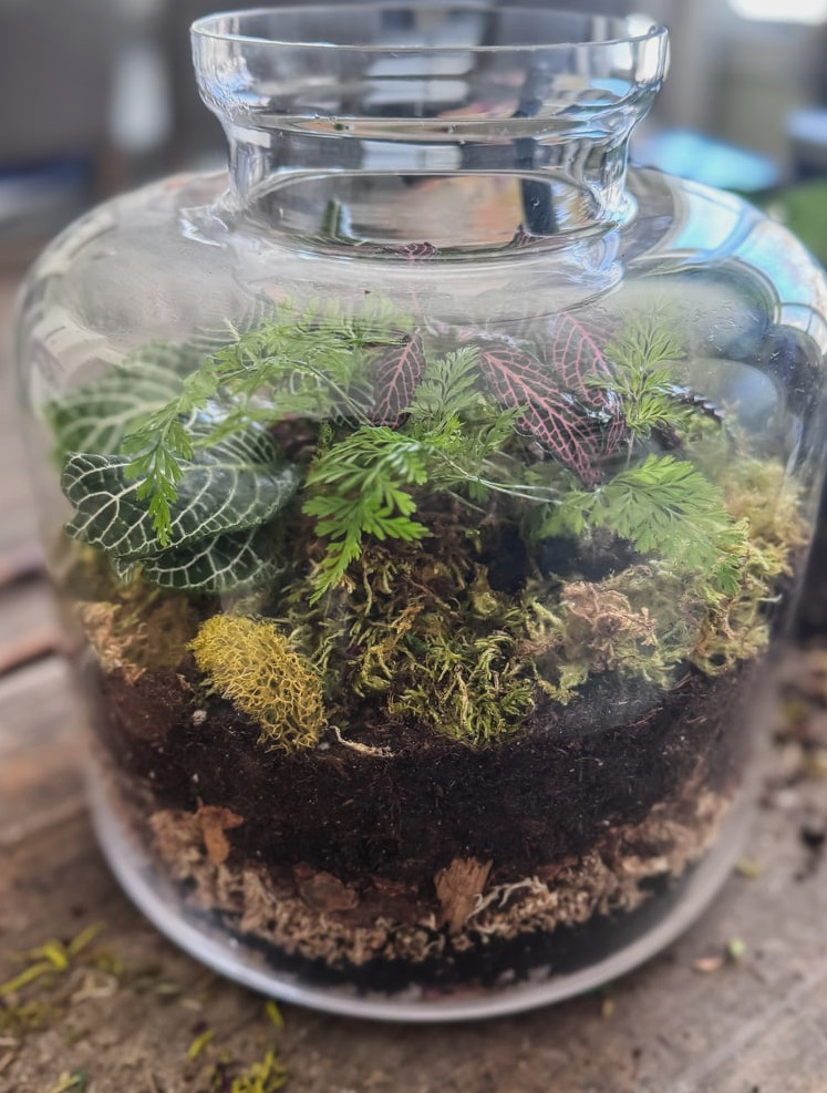 view of tall glass terrarium