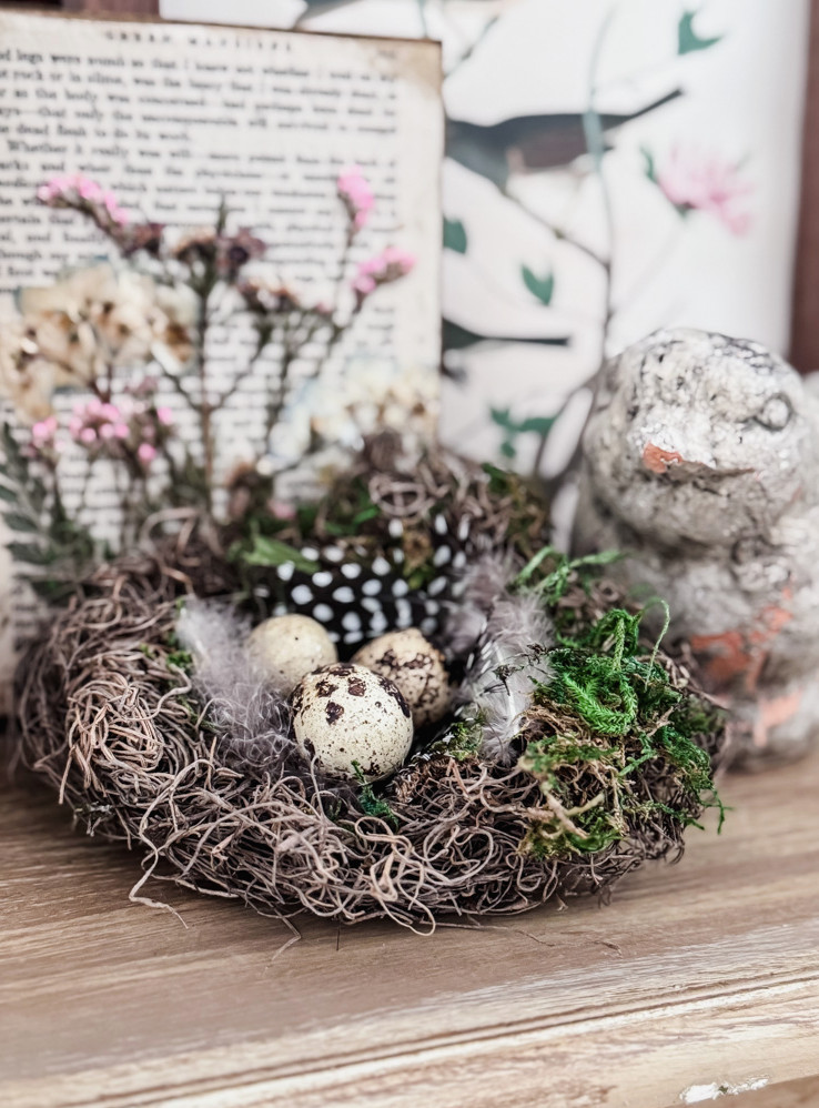 spring bird nest on a table