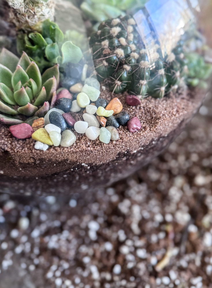 pebbles in a terrarium
