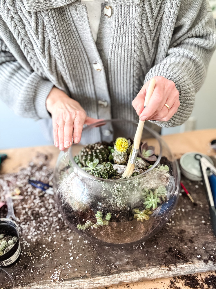 making a cacti and succulent terrarium