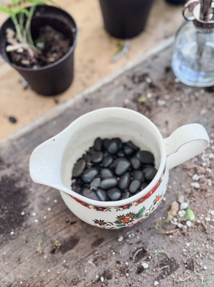 making a planter from a china creamer