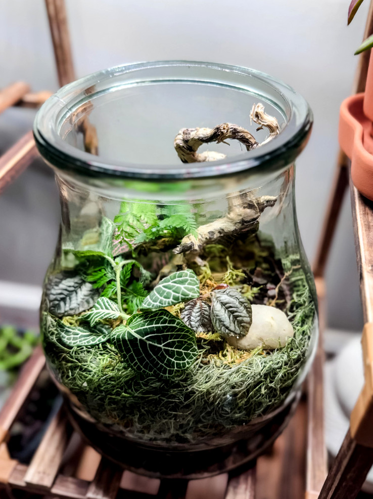 a vase terrarium on a shelf